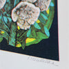 Jungle Book - Wild Flowers