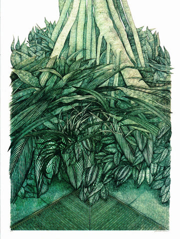 Mangrove Mirage