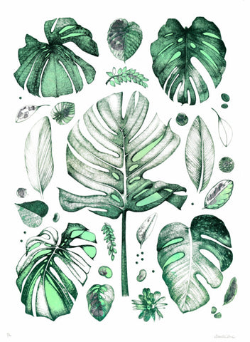 Tropical Leaves