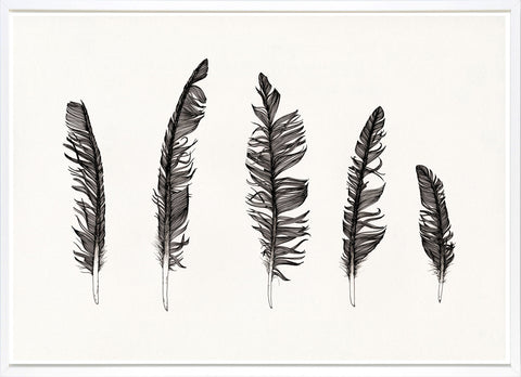 Feathers