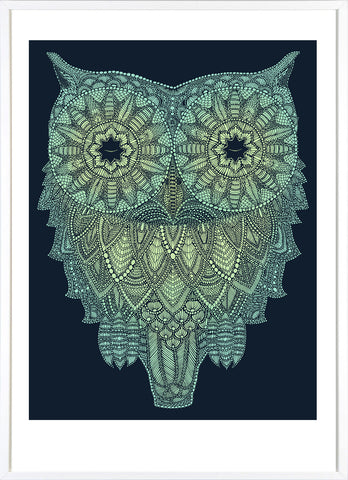 Owl Night Time