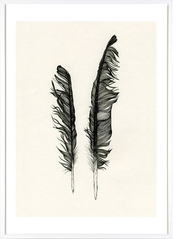 Twin Feathers