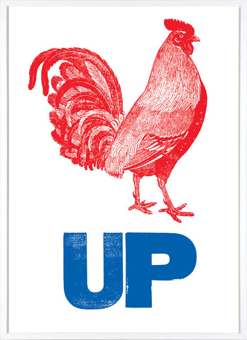 Cock Up (Red and Blue)