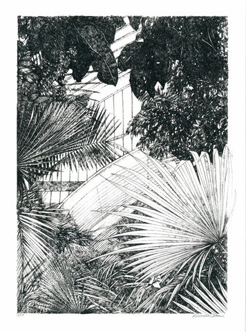 Mini Palm House 2